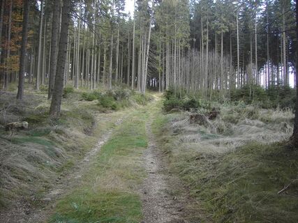 Nordwaldstrecke