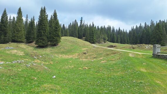 Fotografia z franco.ghiro na trase