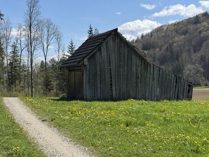 Zdjęcie z Denise Miller wzdłuż trasy