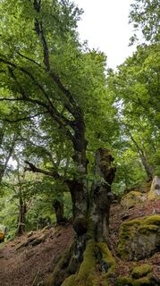 Photo de Richard Schwald le long du parcours