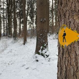 Weg Richtung Gantenstein