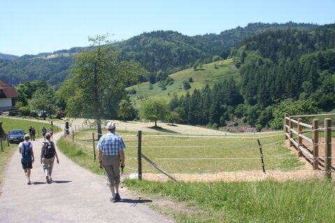 Wandern im Bärhag
