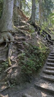 Fotografija s spletne strani Ralph Schneck na poti