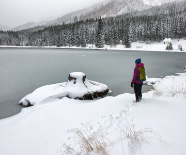 Ingeringsee