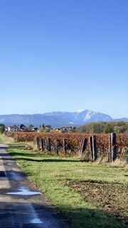 Photo de Christian Hohaus le long du parcours