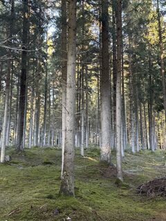 Foto von Babs Holz entlang der Tour