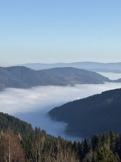 Fotografija s spletne strani Reinhard Frewein na poti