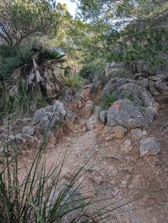 Photo de michael arnold 3 le long du parcours