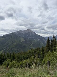 Photo de Mandy Friedrich le long du parcours