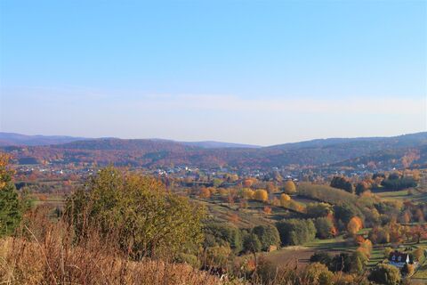 Blick vom Kremsberg