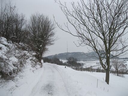 Grinzing-Hermannskogel-Neustift am Walde