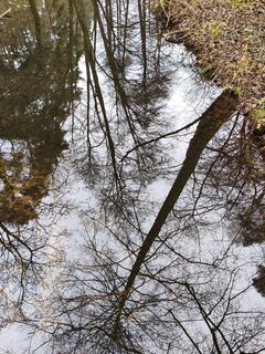 Foto von SvenLöwe entlang der Tour