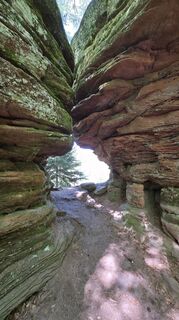 Photo de Yvonne Karcher le long du parcours