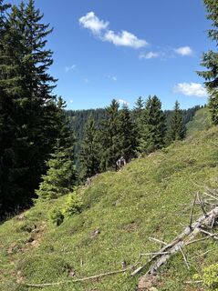 Foto von UMO entlang der Tour