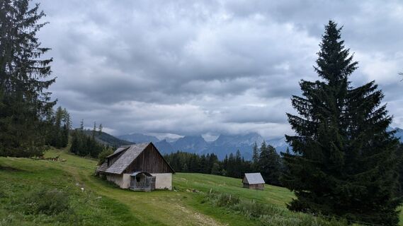 Fotografia z Klaus Lehner na trase