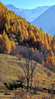 Fotografija s spletne strani Fabrizi Mellano na poti