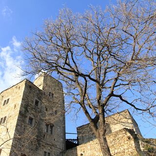 Das Schloss Cuccagna