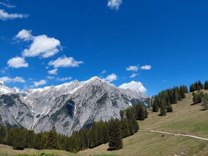 Photo de Sabine Steuxner le long du parcours