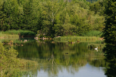 Paradies für über 120 Vogelarten