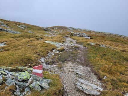 Fotografia z schenkeli na trase