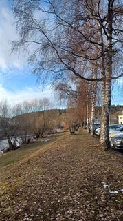 Photo de tina le long du parcours