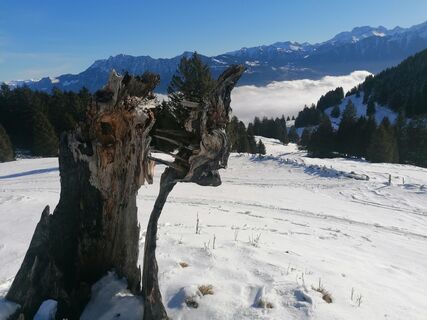 Foto de Turbinio a lo largo del recorrido