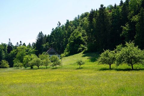 Naturkino-Schauplatz Adelheiden
