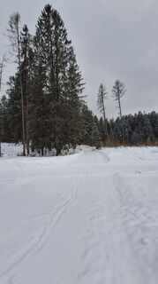 Fotografia z Regina Fleischmann na trase