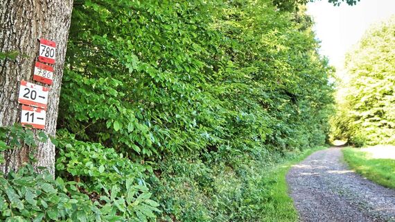 Viele verschiedenen Markierungen