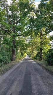 Foto de johpeterseil a lo largo del recorrido