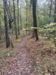Photo de Wanderelch le long du parcours
