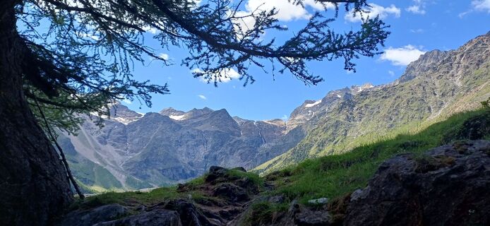 Fotografija s spletne strani Magnus Thurnes na poti