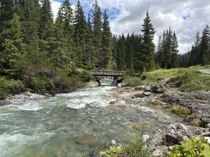 Fotografia z Grizzli na trase