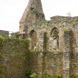 Burgruine Schaunberg