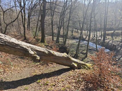 Zdjęcie z Björn Heun wzdłuż trasy