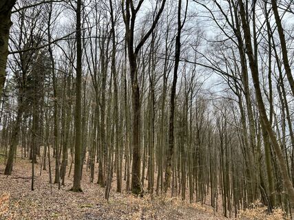 Fotografie z Max Weith na trase