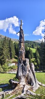 Foto de Albert Knollseisen a lo largo del recorrido
