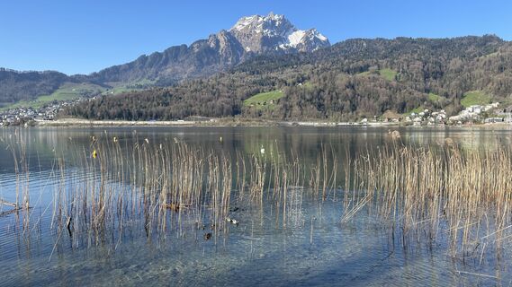 Fotografia z Peter Burki na trase