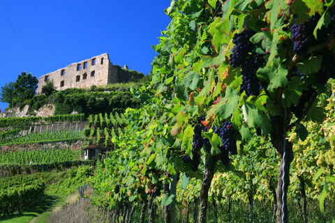 Staufener Schlossberg mit Burgruine