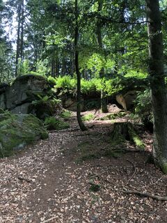 Foto von Jan Greinecker 1 entlang der Tour