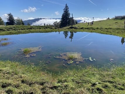 Foto de Sven Krieblin a lo largo del recorrido