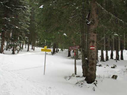 Where to leave the nordic-ski road for the Hochalmhütte