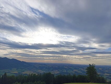 Photo de Meli le long du parcours