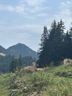 Foto von Katrin Rupprecht entlang der Tour