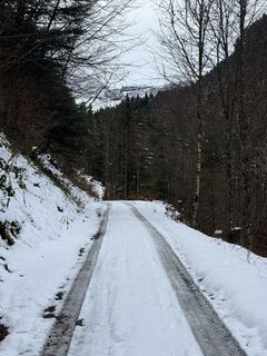 Photo de Thomas Freytag le long du parcours