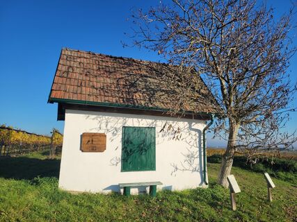 Foto von mmecki entlang der Tour
