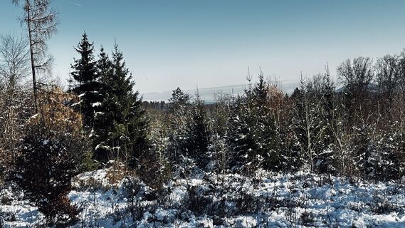 Foto von Klaus Tillmanns entlang der Tour