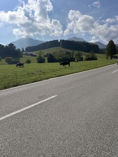 Fotografie z Dirk Mallow na trase