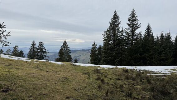 Fotografia z peter_oe na trase