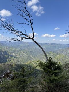 Foto från Kleinlehners under resans gång